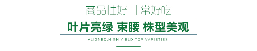 1557883406619328.jpg 詳情頁(yè)12.jpg