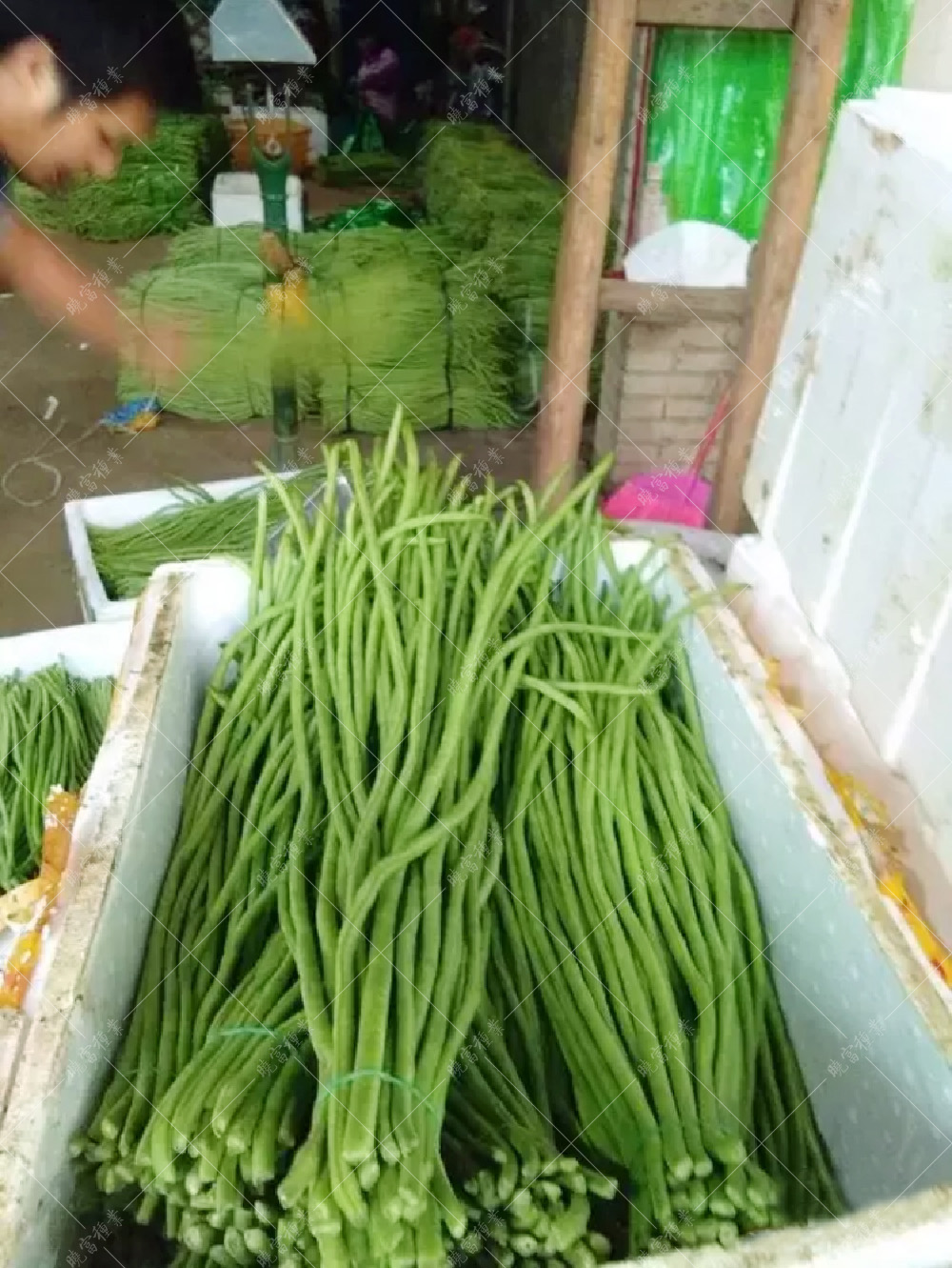 1557901302664038.jpg 5.jpg