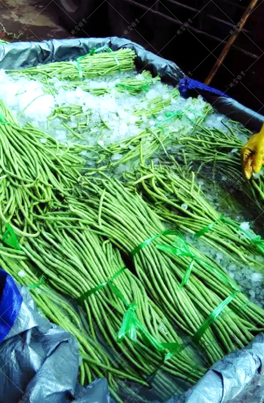 1557970955648952.jpg 22.jpg