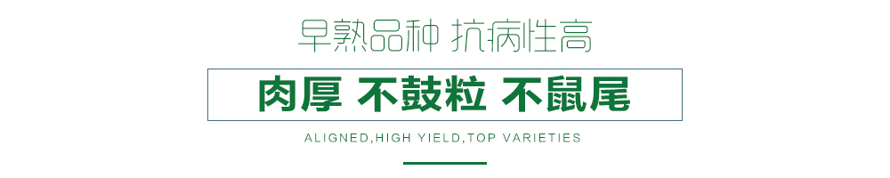 1557993311432351.jpg 詳情頁(yè)23.jpg