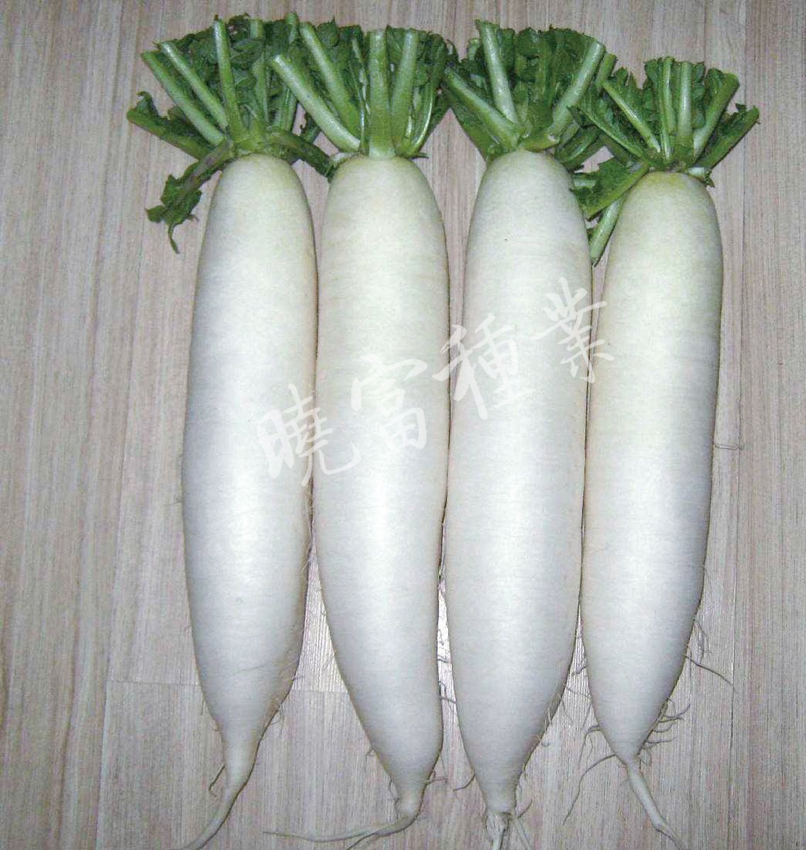 1585788730845784.jpg 08.jpg