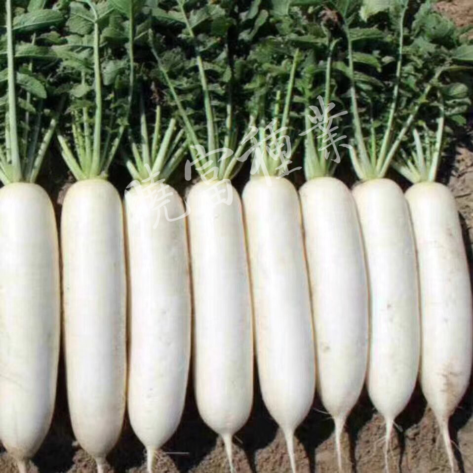 1585789646474713.jpg 02.jpg