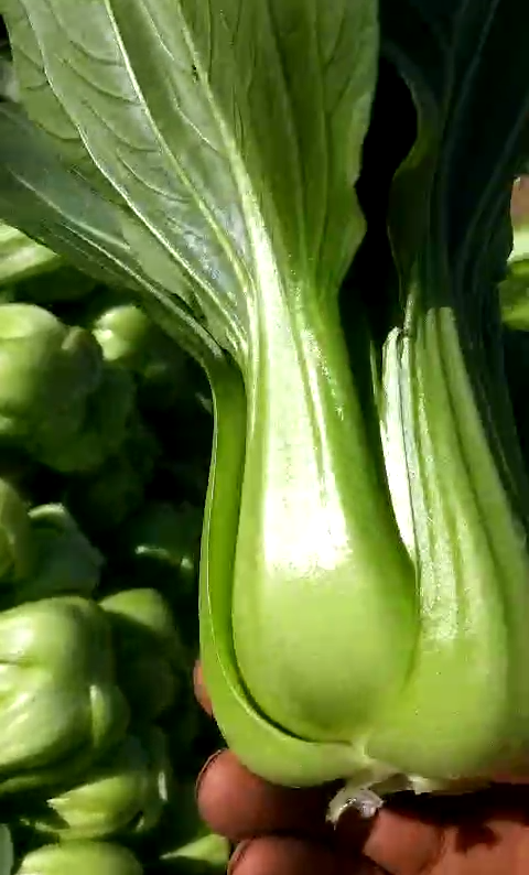 1600250937855872.png 08.png