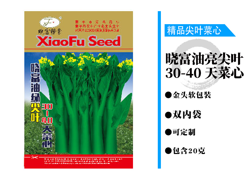 1602036724698995.jpg 曉富油亮尖葉30-40天菜心.jpg